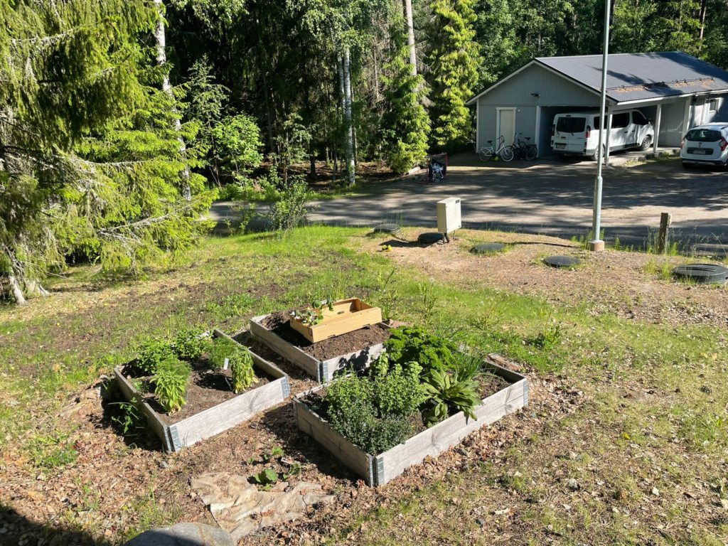 Pähkinärinne, puutarha

