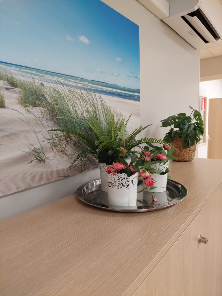 Puinen lipasto, jonka päällä on kasveja sekä taulu