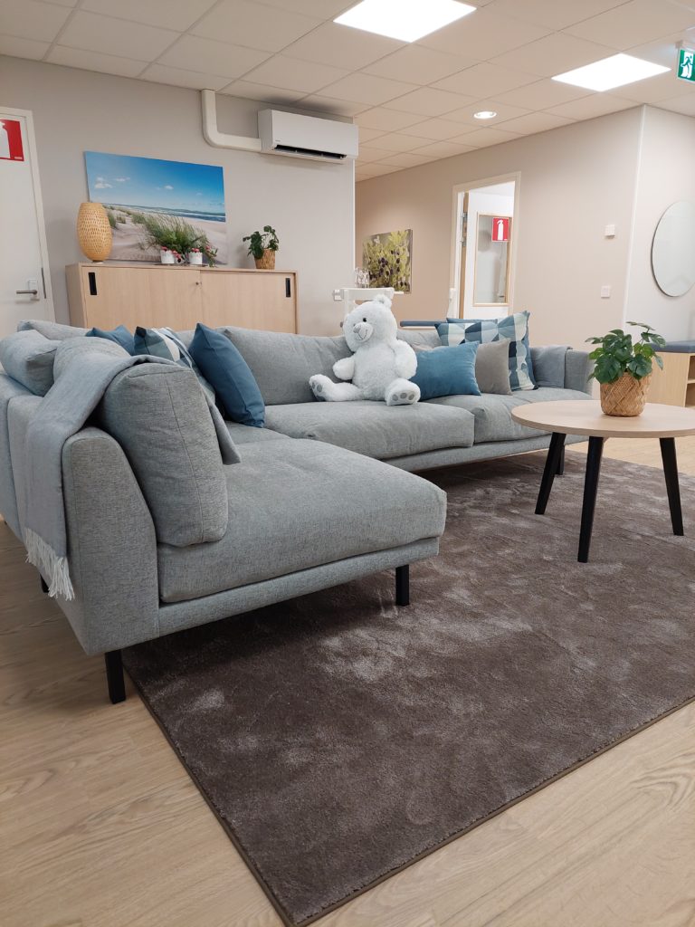 Viihtyisä olohuone, jossa pehmeä sohvaryhmä