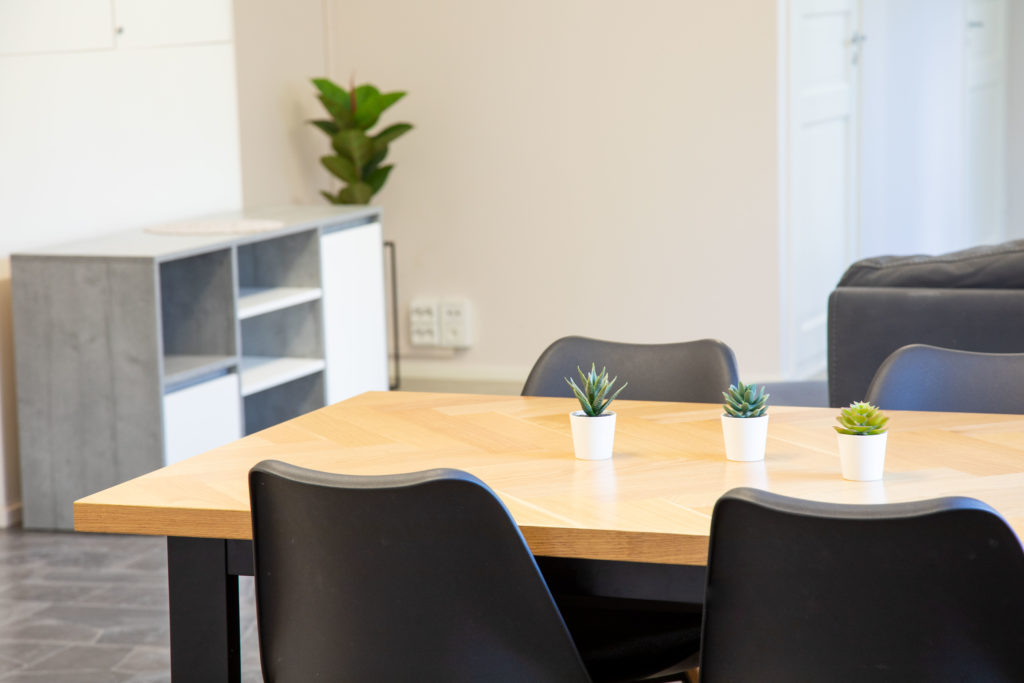 Eemelin Kissankulman oleskelutilasta kuva, jossa ruokapöydällä pieniä kasveja ja taustalla kirjahylly