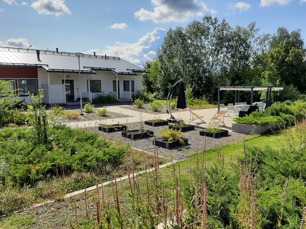 Yksikön vihreä piha.