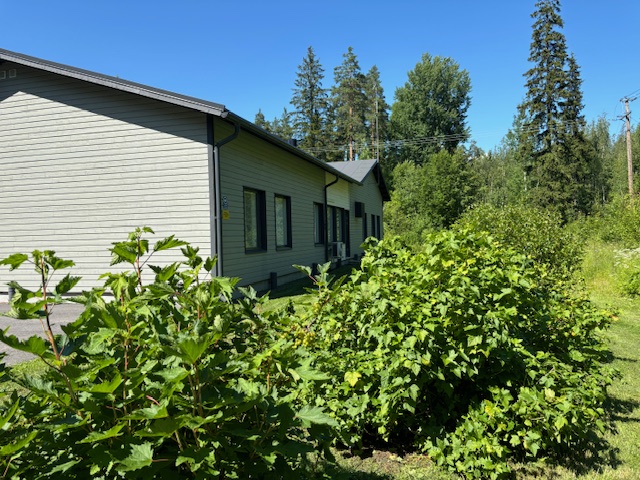 Karhunpesän yksikkö ulkoa päin kuvattuna kesällä vihreässä maisemassa.