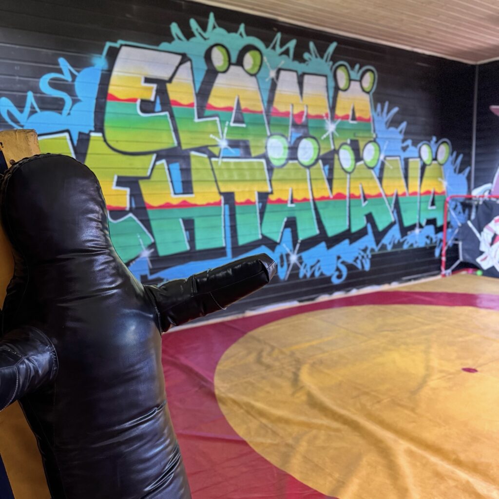 Seinässä maalaus ja teksti: elämä tehtävänä