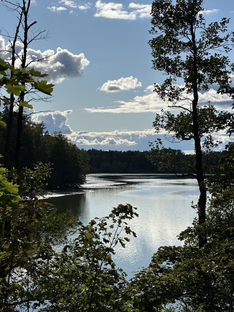 Järvi