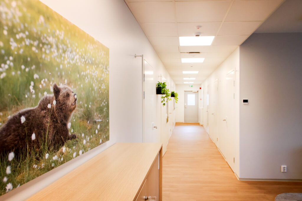 Käytävä, jossa lipasto ja seinällä taulu, juossa karhu.