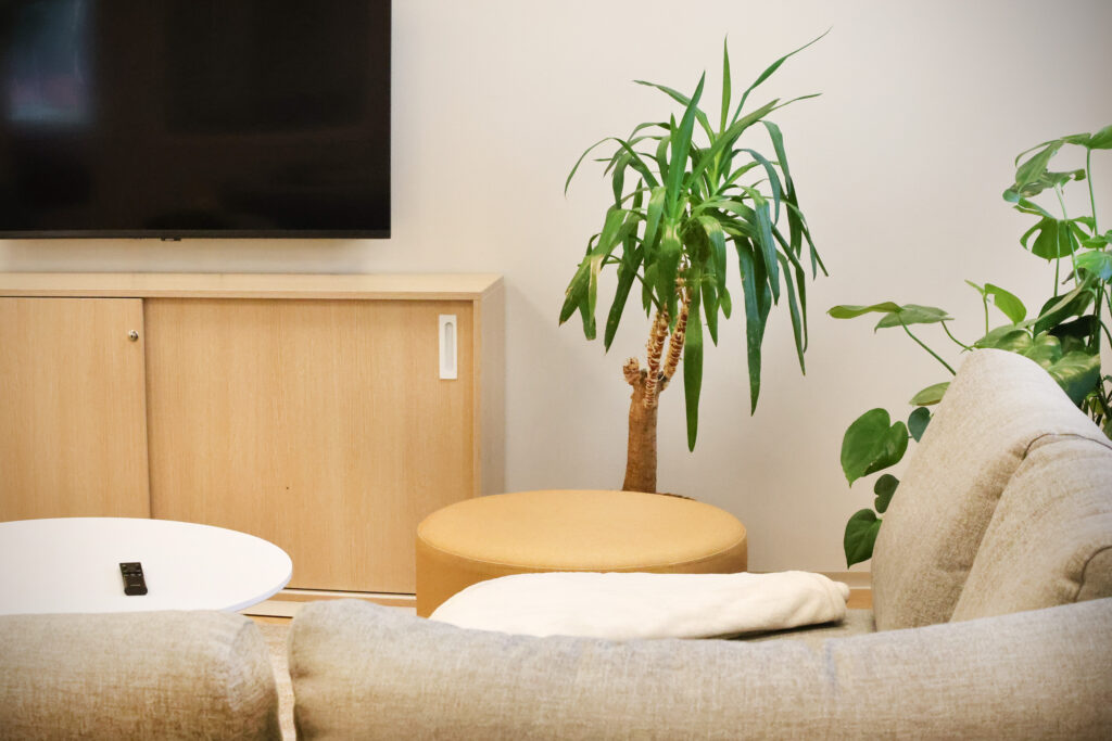 Harmaa sohva, viherkasveja ja puunvärinen lipasto. Teevisio seinällä.