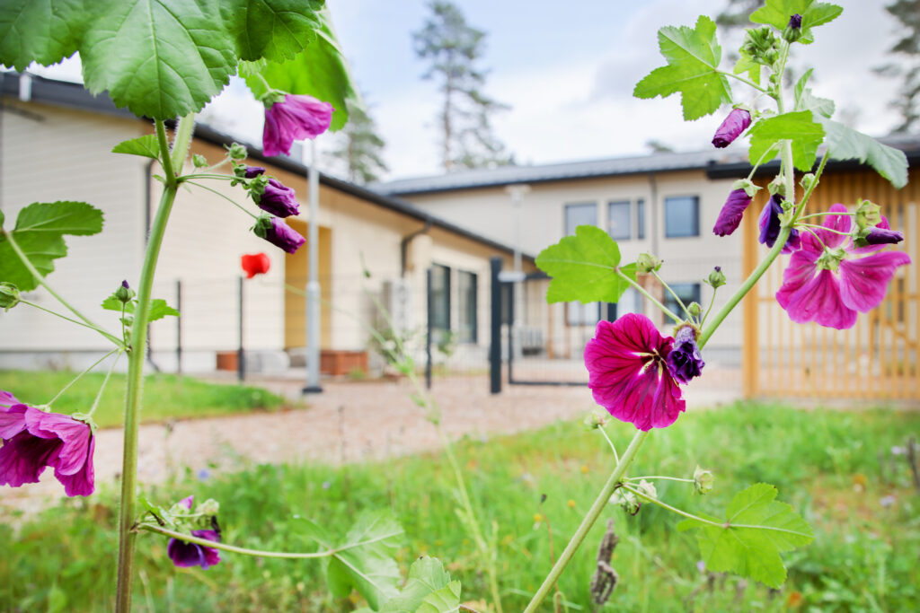 Edessä liiloja kukkia ja takana yksikkö.